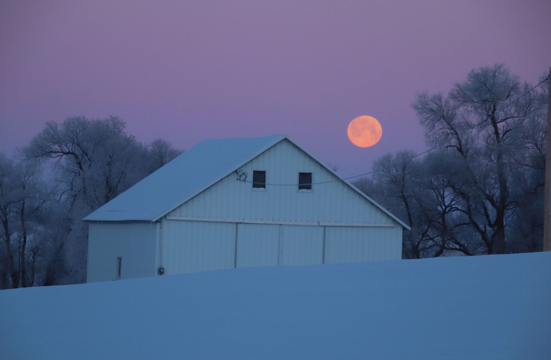 Pastel Moonlight